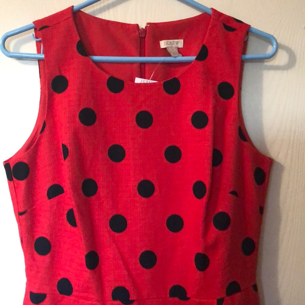 J. Crew Dress
